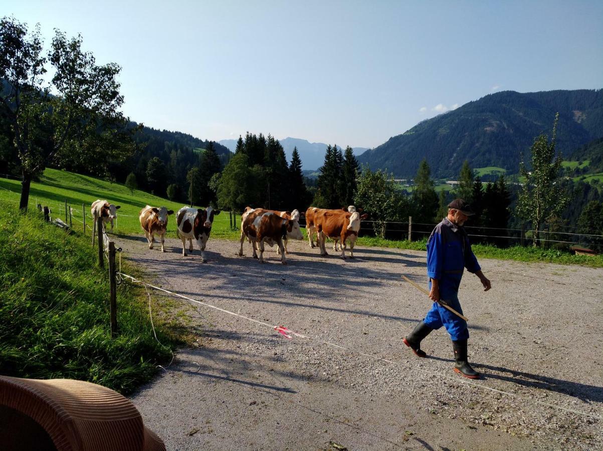 Vordersattlegghof Villa Hüttau Eksteriør bilde